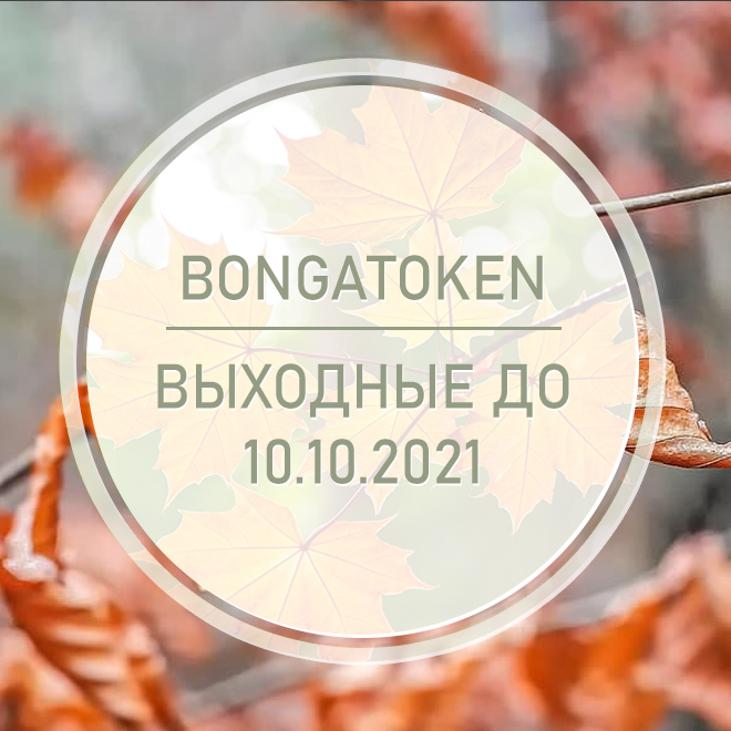 27.09.2021 - 10.10.2021 - TokenBonga в отпуске!